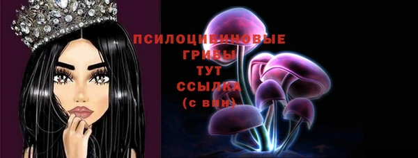 MDMA Premium VHQ Козельск