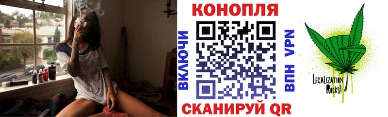 Бошки Шишки план  Купить закладки  Оленегорск 